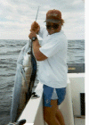 sailfish-w-paul.gif (103174 bytes)